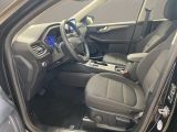 Ford Kuga bei Gebrauchtwagen.expert - Abbildung (8 / 15)
