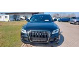 Audi Q5 bei Gebrauchtwagen.expert - Abbildung (3 / 15)