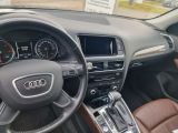 Audi Q5 bei Gebrauchtwagen.expert - Abbildung (9 / 15)