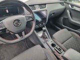 Skoda Octavia bei Gebrauchtwagen.expert - Abbildung (9 / 15)
