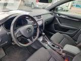 Skoda Octavia bei Gebrauchtwagen.expert - Abbildung (10 / 15)