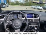 Audi S5 bei Gebrauchtwagen.expert - Abbildung (13 / 15)