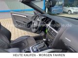 Audi S5 bei Gebrauchtwagen.expert - Abbildung (15 / 15)