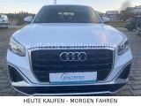 Audi Q2 bei Gebrauchtwagen.expert - Abbildung (2 / 15)