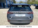 Skoda Octavia bei Gebrauchtwagen.expert - Abbildung (8 / 15) Skoda Octavia bei Gebrauchtwagen.expert - Abbildung (8 / 15)