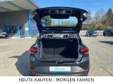 Dacia Stepway bei Gebrauchtwagen.expert - Abbildung (9 / 15)