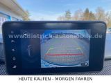 Dacia Stepway bei Gebrauchtwagen.expert - Abbildung (13 / 15)