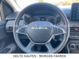 Dacia Stepway bei Gebrauchtwagen.expert - Abbildung (10 / 15)