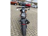 KTM 125 bei Gebrauchtwagen.expert - Abbildung (7 / 13)