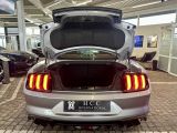 Ford Mustang bei Gebrauchtwagen.expert - Abbildung (9 / 10)
