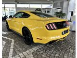 Ford Mustang bei Gebrauchtwagen.expert - Abbildung (7 / 10)
