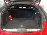 Peugeot 508 bei Gebrauchtwagen.expert - Abbildung (7 / 15)