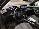 Peugeot 2008 bei Gebrauchtwagen.expert - Abbildung (12 / 15)