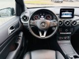 Mercedes-Benz B-Klasse bei Gebrauchtwagen.expert - Abbildung (13 / 15)