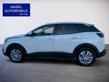 Peugeot 3008 bei Gebrauchtwagen.expert - Abbildung (2 / 15)