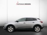 Opel Grandland X bei Gebrauchtwagen.expert - Abbildung (4 / 14)