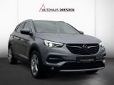 Opel Grandland X bei Gebrauchtwagen.expert - Abbildung (2 / 14)