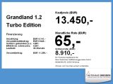 Opel Grandland X bei Gebrauchtwagen.expert - Abbildung (3 / 14)