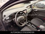 Ford Fiesta bei Gebrauchtwagen.expert - Abbildung (12 / 15)