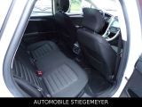 Ford Mondeo Turnier bei Gebrauchtwagen.expert - Abbildung (13 / 15)