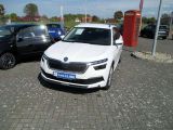 Skoda Kamiq bei Gebrauchtwagen.expert - Abbildung (12 / 13)