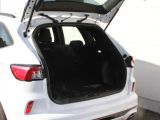 Ford Kuga bei Gebrauchtwagen.expert - Abbildung (10 / 15)