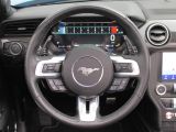 Ford Mustang bei Gebrauchtwagen.expert - Abbildung (14 / 15) Ford Mustang bei Gebrauchtwagen.expert - Abbildung (14 / 15)