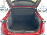 Mazda CX-30 bei Gebrauchtwagen.expert - Abbildung (7 / 15)