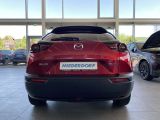 Mazda MX-30 bei Gebrauchtwagen.expert - Abbildung (12 / 15) Mazda MX-30 bei Gebrauchtwagen.expert - Abbildung (12 / 15)