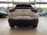 Mazda MX-30 bei Gebrauchtwagen.expert - Abbildung (13 / 15)