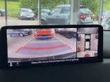 Mazda CX 5 bei Gebrauchtwagen.expert - Abbildung (12 / 15)