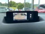 Mazda MX-30 bei Gebrauchtwagen.expert - Abbildung (12 / 15)