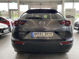 Mazda MX-30 bei Gebrauchtwagen.expert - Abbildung (13 / 15)
