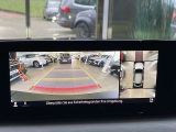 Mazda MX-30 bei Gebrauchtwagen.expert - Abbildung (11 / 15)