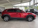 Mazda CX-30 bei Gebrauchtwagen.expert - Abbildung (8 / 15)
