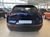 Mazda CX-30 bei Gebrauchtwagen.expert - Abbildung (13 / 15)