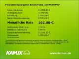 Skoda Fabia bei Gebrauchtwagen.expert - Abbildung (13 / 15)