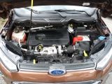 Ford EcoSport bei Gebrauchtwagen.expert - Abbildung (14 / 15)