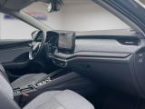 Skoda Octavia bei Gebrauchtwagen.expert - Abbildung (10 / 15)