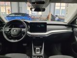 Skoda Octavia bei Gebrauchtwagen.expert - Abbildung (10 / 15)