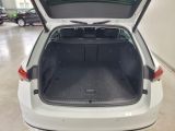 Skoda Octavia bei Gebrauchtwagen.expert - Abbildung (8 / 15)