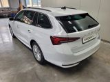 Skoda Octavia bei Gebrauchtwagen.expert - Abbildung (6 / 15)