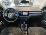 Skoda Fabia bei Gebrauchtwagen.expert - Abbildung (10 / 15)