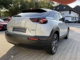 Mazda MX-30 bei Gebrauchtwagen.expert - Abbildung (5 / 15)