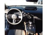 Mazda MX-30 bei Gebrauchtwagen.expert - Abbildung (11 / 15)