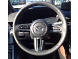 Mazda MX-30 bei Gebrauchtwagen.expert - Abbildung (10 / 15)