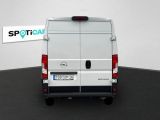 Opel Movano bei Gebrauchtwagen.expert - Abbildung (5 / 15)