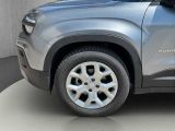 Jeep Avenger bei Gebrauchtwagen.expert - Abbildung (13 / 15)