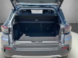 Jeep Avenger bei Gebrauchtwagen.expert - Abbildung (14 / 15)