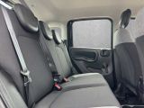 Fiat Panda bei Gebrauchtwagen.expert - Abbildung (7 / 15)